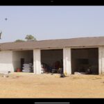 groundnuts_MFC (21)