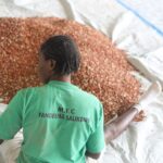 groundnuts_MFC (37)