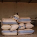 groundnuts_MFC (7)